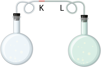 Dosya:Ayırt edici özellikte genleşme 1.png