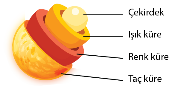 Dosya:Güneş Katmanları.png