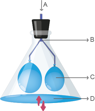 Dosya:Solunum sistemi modelleme.png