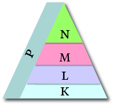 Dosya:Besin Zinciri bilinmeyen.png