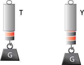 Farklı ağırlık ölçümleri.png