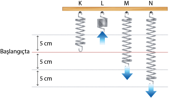 Dosya:Yayların potansiyel enerjileri 4 yay.png
