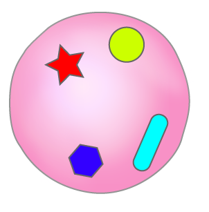 Dosya:Kromozom soru2.png