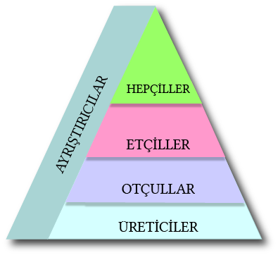 Dosya:Basin Piramidi.png