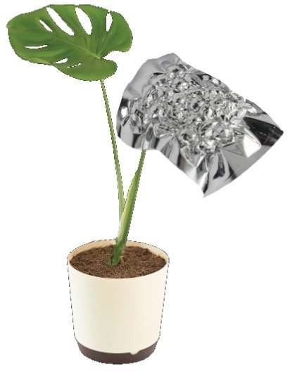 Dosya:Bitki fotosentez.jpg