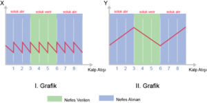Nefes kalp atışı grafiği.png