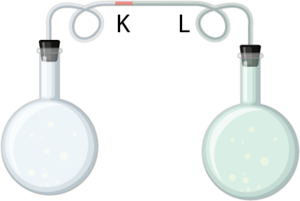 Ayırt edici özellikte genleşme 1.png