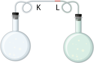 Ayırt edici özellikte genleşme 2.png