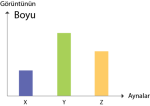 Ayna görüntü boyu grafiği.png