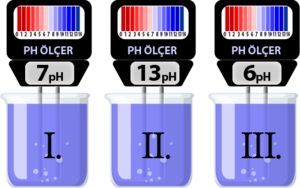Çözelti PH.png