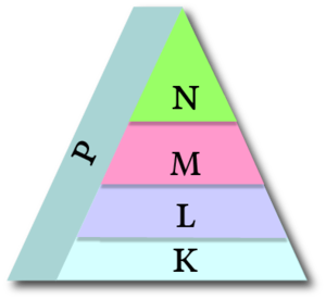 Besin Zinciri bilinmeyen.png