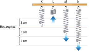 Yayların potansiyel enerjileri 4 yay.png