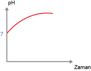 PH yükselen grafik.png